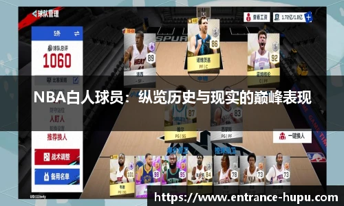 NBA白人球员：纵览历史与现实的巅峰表现